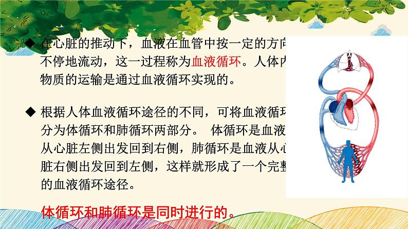 人教版生物七年级下册 第四章  人体内物质 的运输 第三节  输送血液的泵——心脏（案例一）第二课时-课件04