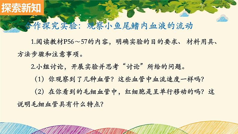 人教版生物七年级下册 第四章  人体内物质 的运输 第二节  血流的管道——血管（案例一）-课件第3页