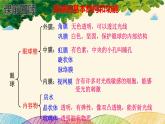 人教版生物七年级下册 第六章  人体生命活 动的调节   第一节  人体对外界环境的感知（案例一）第二课时-课件