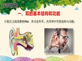 人教版生物七年级下册 第六章  人体生命活 动的调节   第一节  人体对外界环境的感知（案例一）第二课时-课件