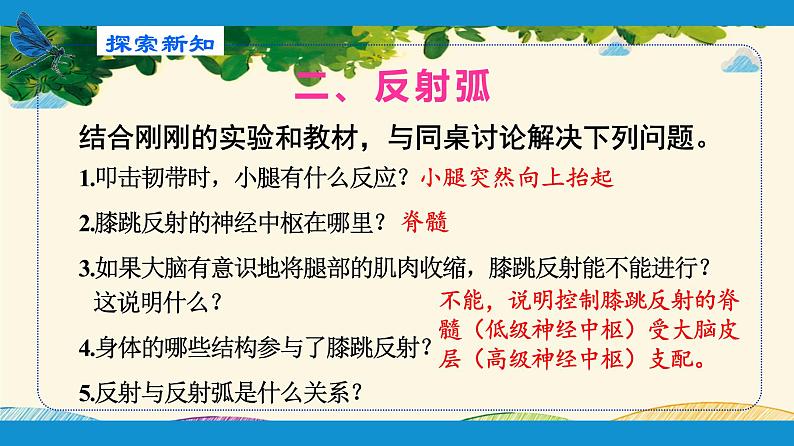 人教版生物七年级下册 第六章  人体生命活 动的调节   第三节  神经调节的基本方式（案例一）-课件第5页