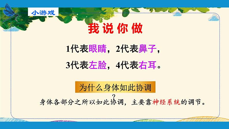 人教版生物七年级下册 第六章  人体生命活 动的调节   第二节  神经系统的组成（案例一）-课件02