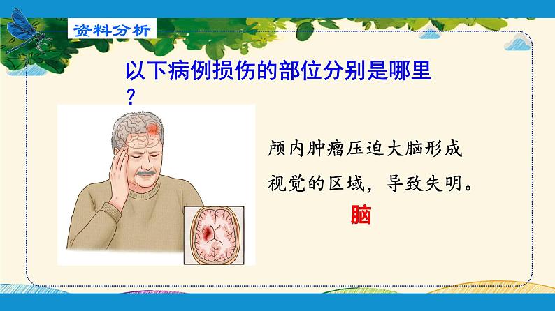 人教版生物七年级下册 第六章  人体生命活 动的调节   第二节  神经系统的组成（案例一）-课件04