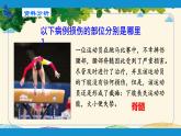 人教版生物七年级下册 第六章  人体生命活 动的调节   第二节  神经系统的组成（案例一）-课件