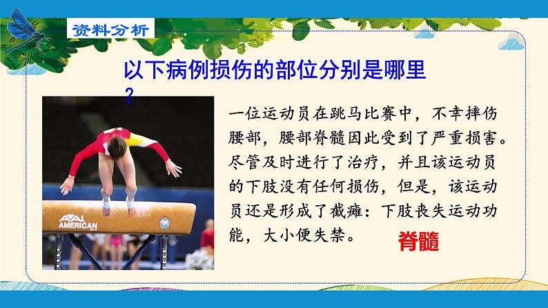 人教版生物七年级下册 第六章  人体生命活 动的调节   第二节  神经系统的组成（案例一）-课件05