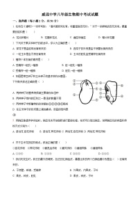 四川省内江市威远中学校2023-2024学年八年级上学期期中学情调研生物试题