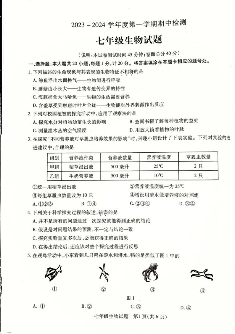 江苏省徐州市丰县2023-2024学年七年级上学期期中学情调研生物试卷01