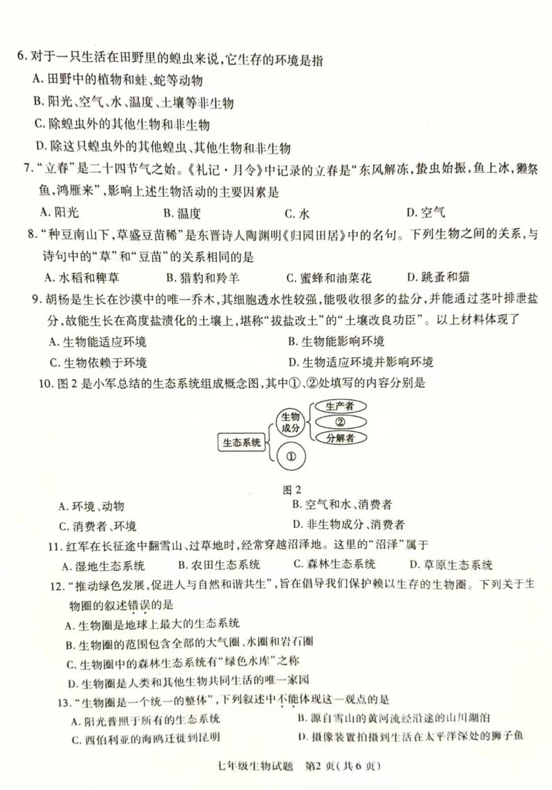 江苏省徐州市丰县2023-2024学年七年级上学期期中学情调研生物试卷02