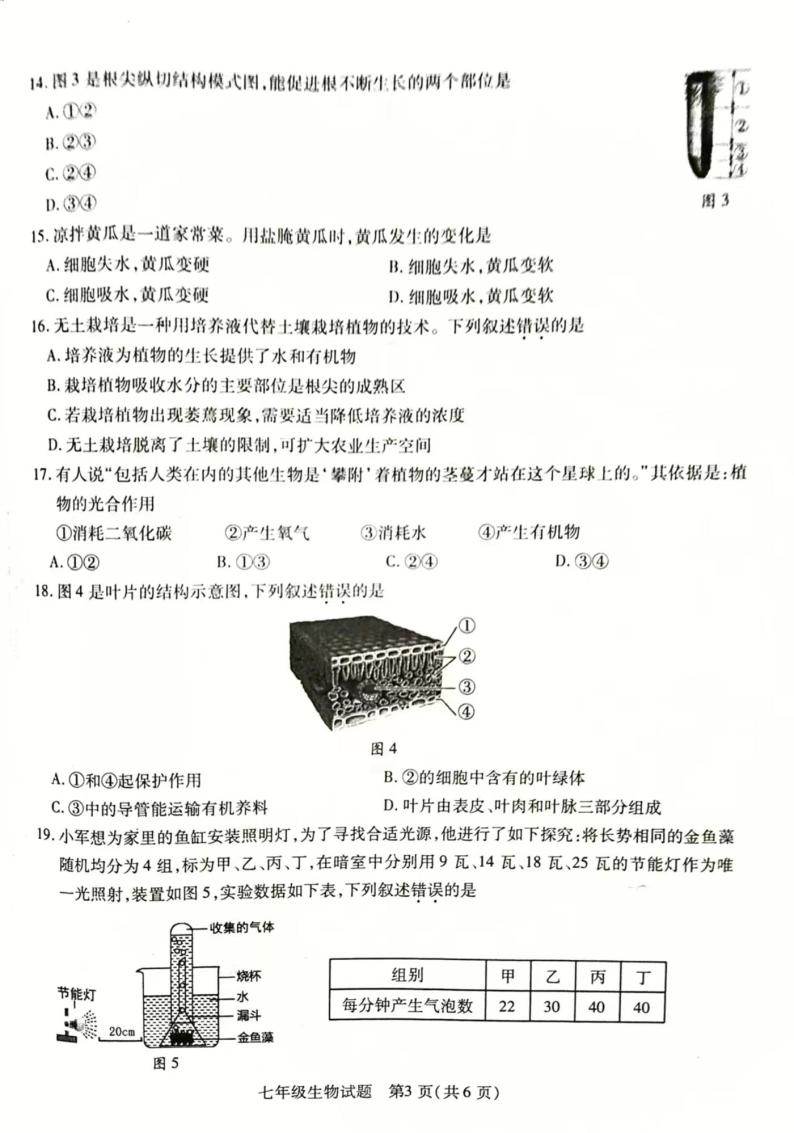 江苏省徐州市丰县2023-2024学年七年级上学期期中学情调研生物试卷03