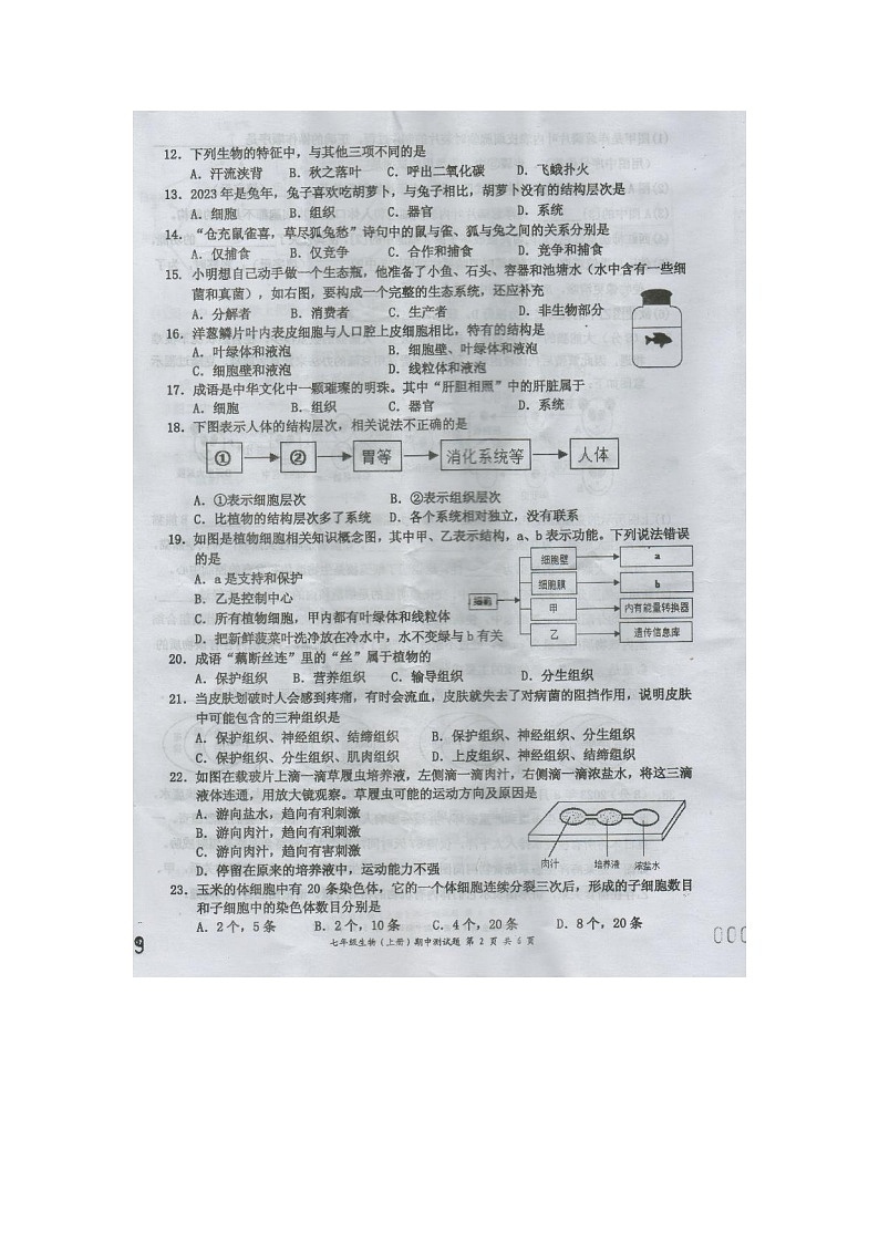 海南省文昌市2023-2024学年七年级上学期期中考试生物试题02