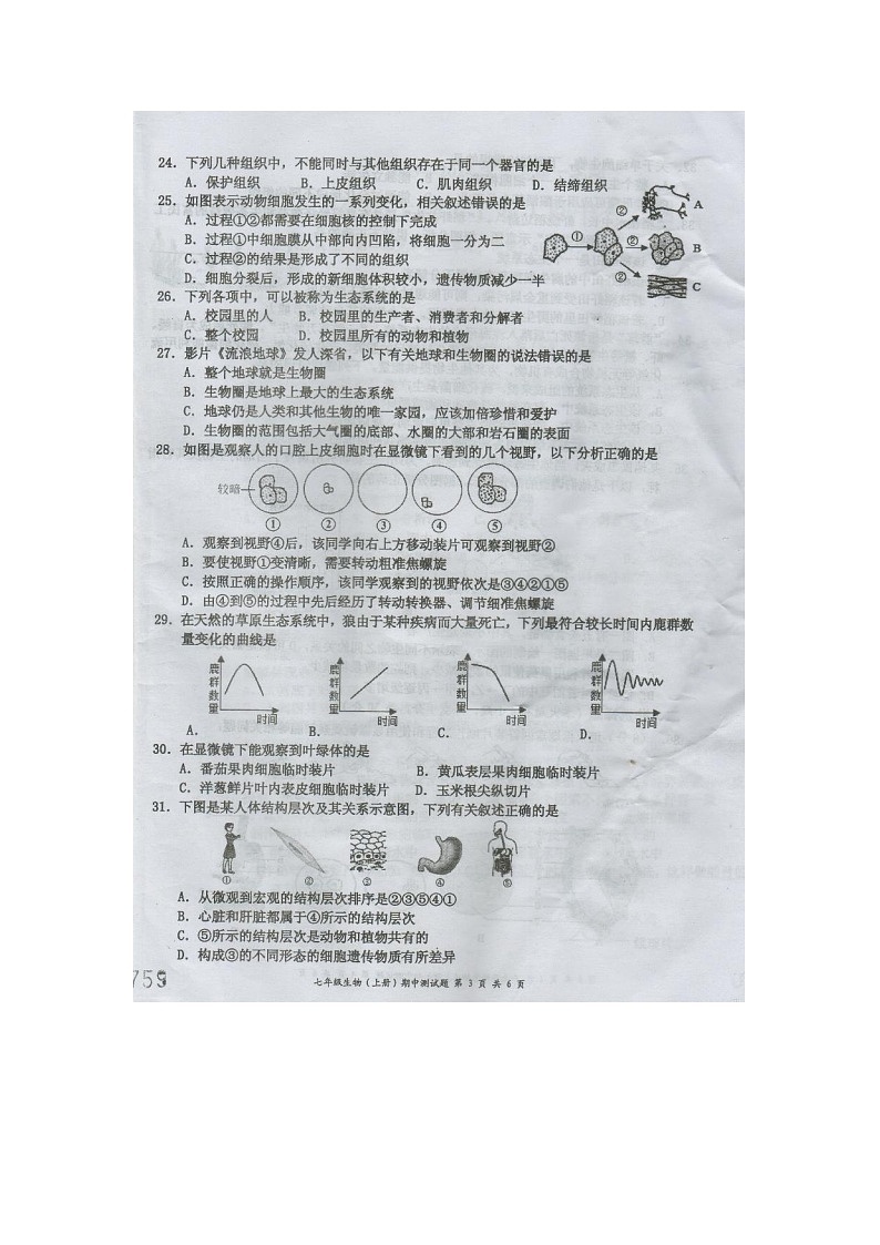 海南省文昌市2023-2024学年七年级上学期期中考试生物试题03