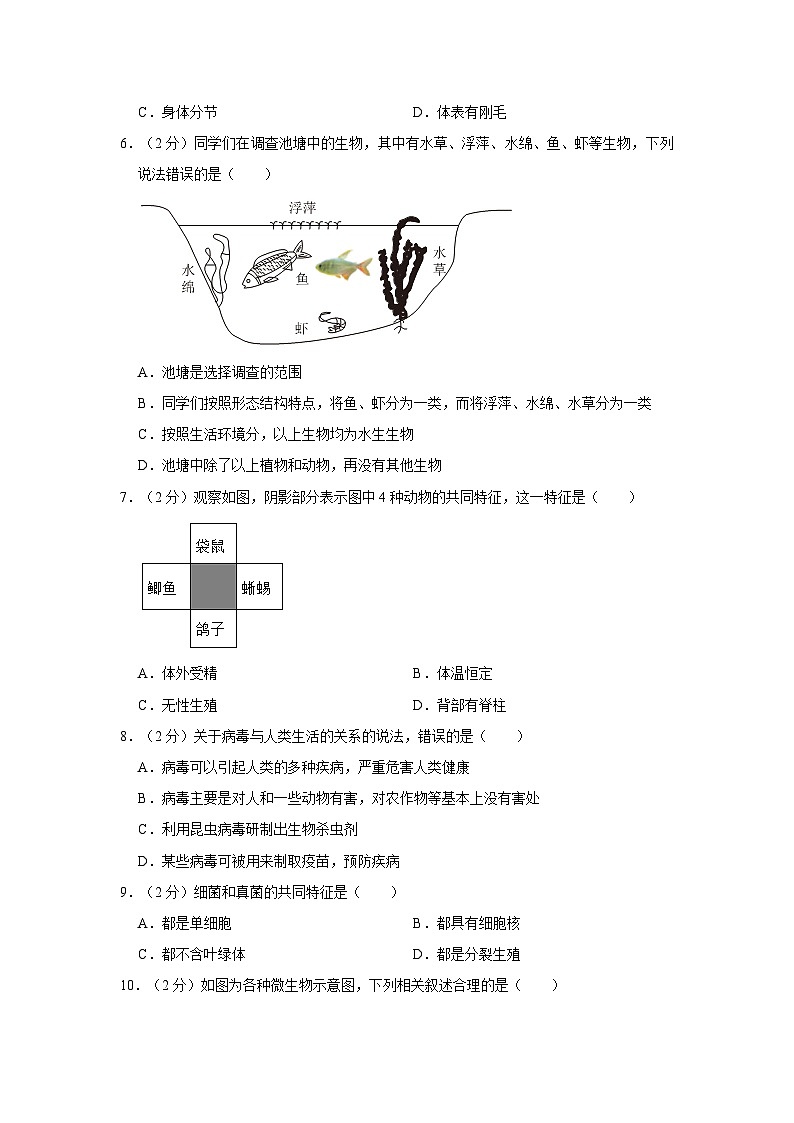 湖南省永州市祁阳县2023-2024学年八年级上学期期中生物试卷02