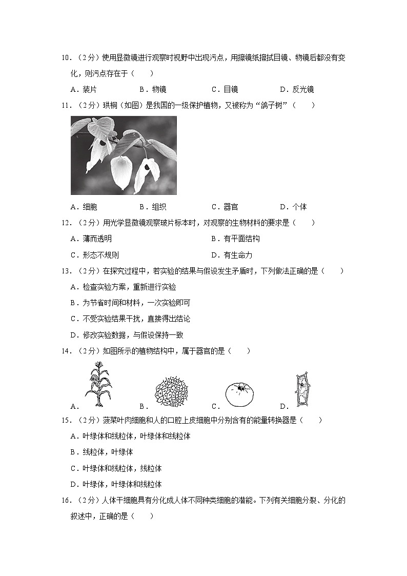 广西来宾市兴宾区2023-2024学年七年级上学期期中生物试卷02