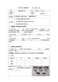 初中生物鲁科版 (五四制)八年级上册第五节 两栖类和爬行类学案