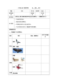 初中生物第六节 鸟类学案设计