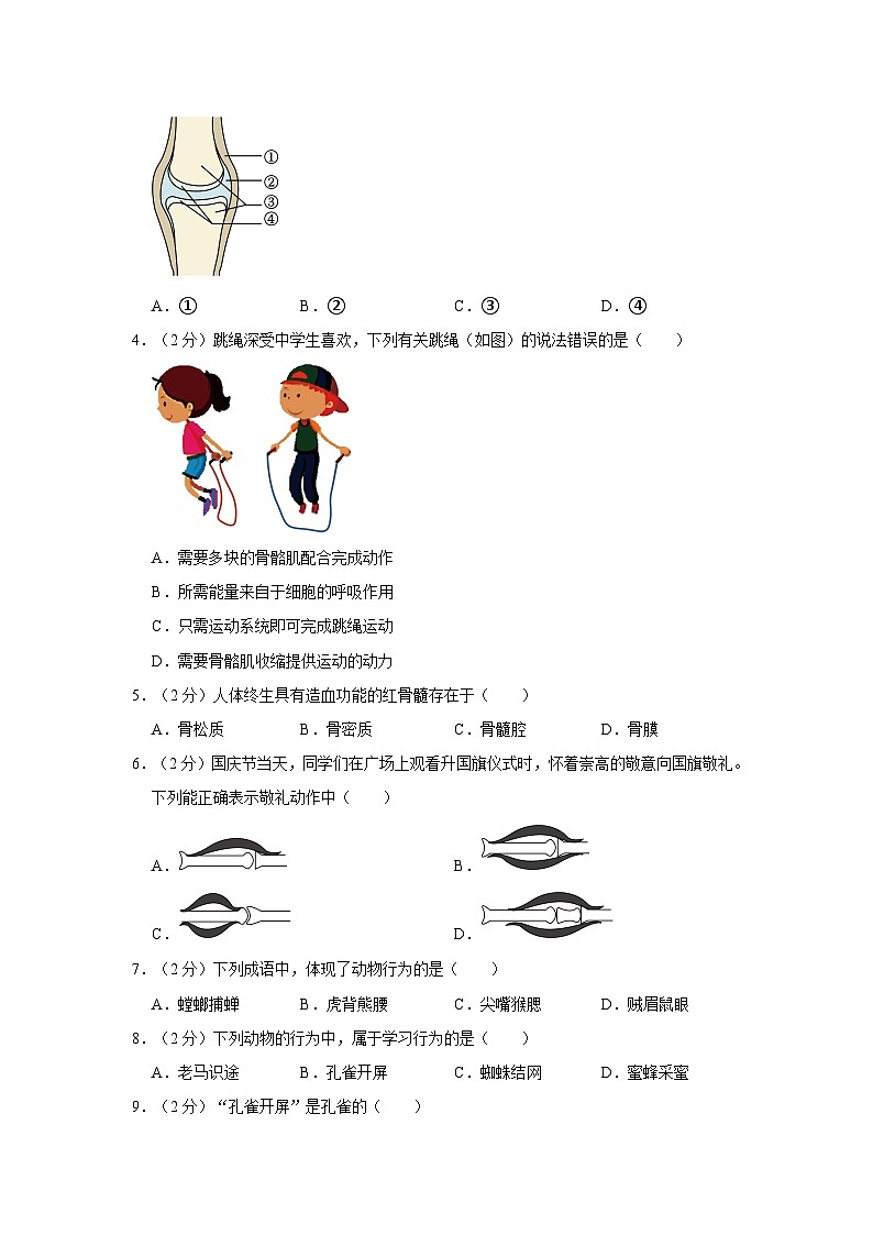 福建省泉州市南安市2023-2024学年八年级上学期期中生物试卷第2页