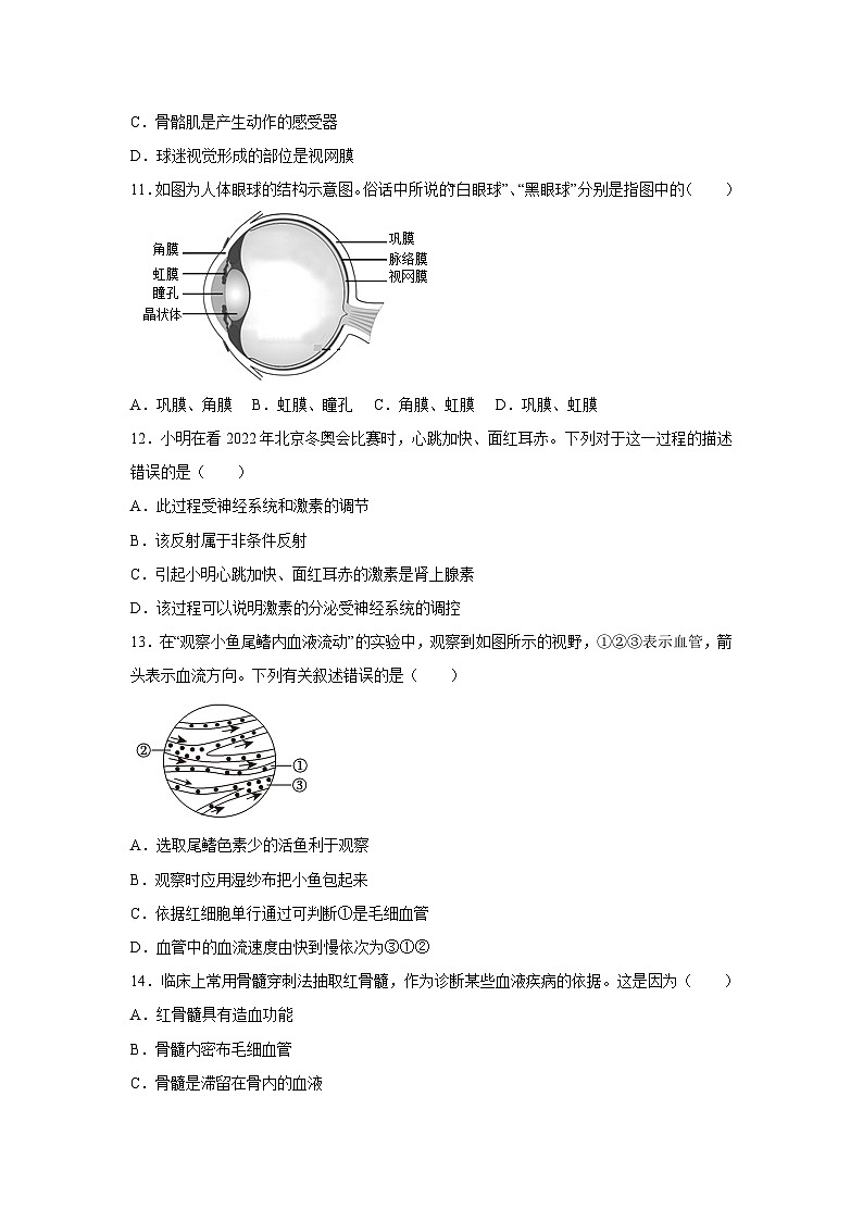 江苏省苏州市吴江区2023-2024学年八年级上学期期中生物试卷第3页