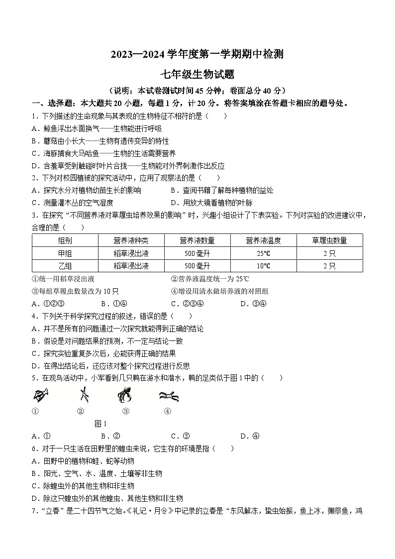 江苏省徐州市丰县2023-2024学年七年级上学期期中学情调研生物试卷第1页