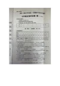 陕西省西安市2023-2024学年七年级上学期生物期中考试试题