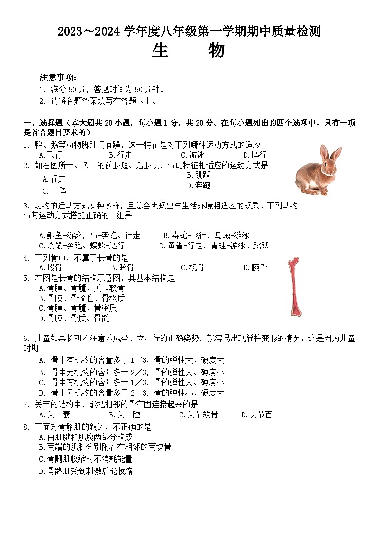 河南省安阳市安阳县2023-2024学年八年级上学期期中生物试题01