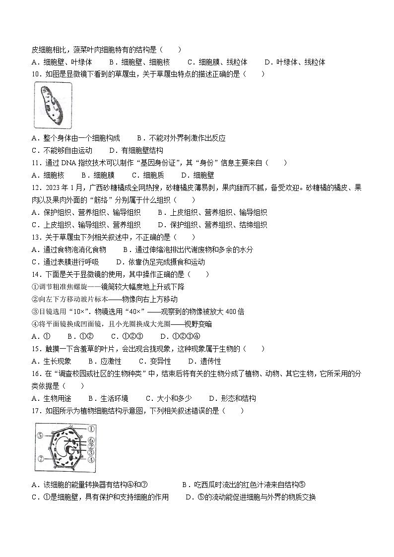 河南省驻马店市正阳县2023-2024学年七年级上学期期中生物试题02