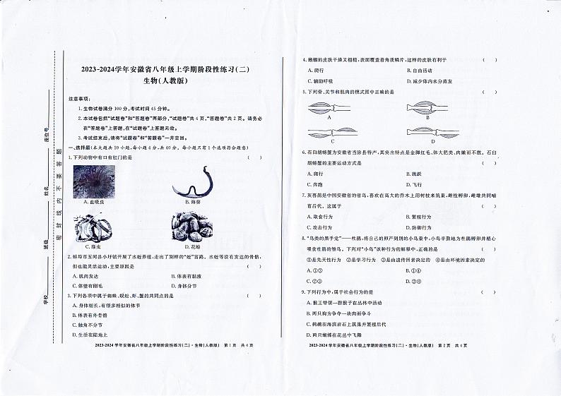 安徽省池州市第二中学2023-2024学年八年级上学期期中生物试题01