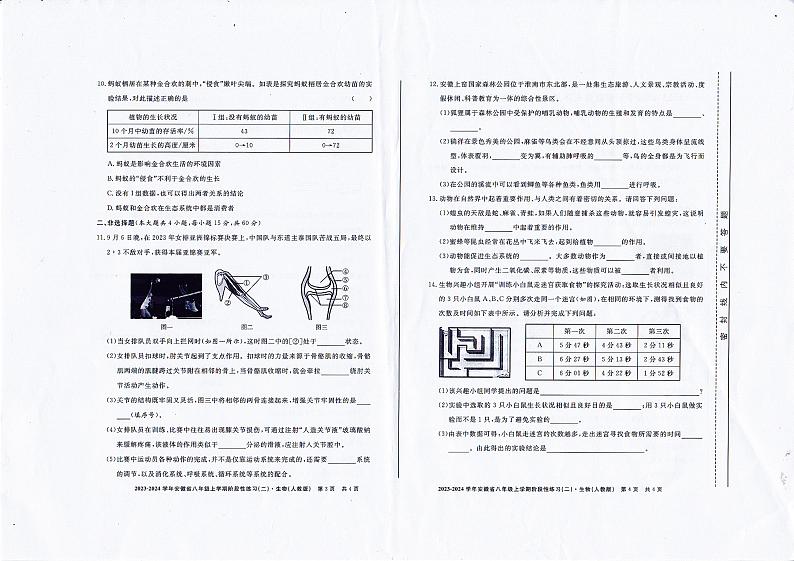 安徽省池州市第二中学2023-2024学年八年级上学期期中生物试题02