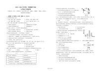 广东省深圳市南山外国语学校（集团）高新中学2023-2024学年七年级上学期期中考试生物试卷