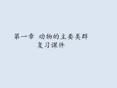 7.1动物的主要类群复习课件---2023-2024学年鲁科版（五四学制）生物学八年级上册课件