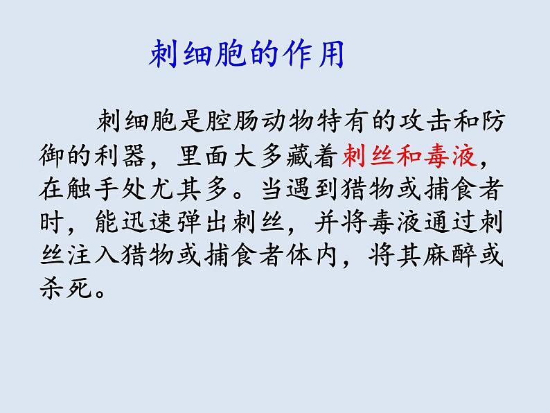 7.1动物的主要类群复习课件---2023-2024学年鲁科版（五四学制）生物学八年级上册课件07