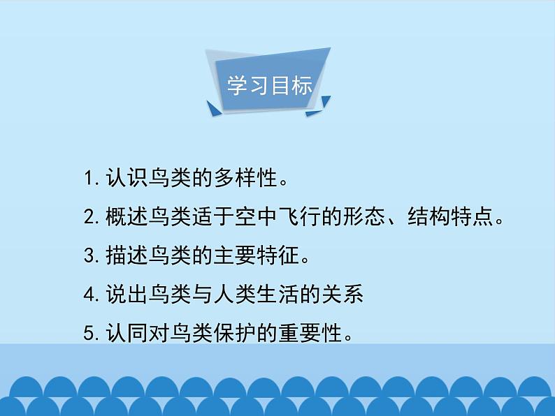 第一章第六节鸟类---2023-2024学年鲁科版（五四版）生物学八年级上册课件04