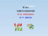 8.1.1 植物的生殖---2023-2024学年鲁科版（五四学制）生物学八年级下册课件