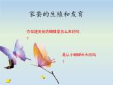 8.1.2昆虫的生殖和发育---2023-2024学年鲁科版（五四学制）生物学八年级下册课件 (2)