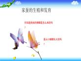 8.1.2昆虫的生殖和发育---2023-2024学年鲁科版（五四学制）生物学八年级下册课件