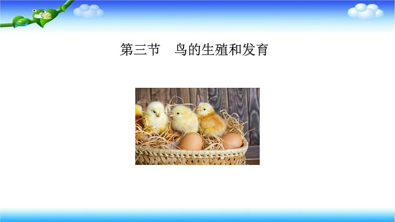 8.1.3 鸟的生殖和发育---2023-2024学年鲁科版（五四学制）生物学八年级下册课件第1页