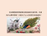8.1.3鸟的生殖和发育---2023-2024学年鲁科版（五四学制）生物学八年级下册课件