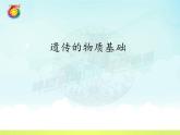 8.2.1遗传的物质基础---2023-2024学年鲁科版（五四学制）生物学八年级下册课件