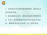 8.2.1遗传的物质基础---2023-2024学年鲁科版（五四学制）生物学八年级下册课件