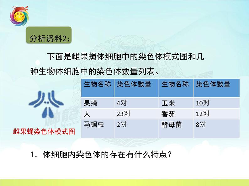 8.2.1遗传的物质基础---2023-2024学年鲁科版（五四学制）生物学八年级下册课件08