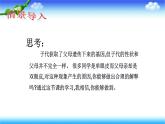 8.2.3基因在亲子代间的传递---2023-2024学年鲁科版（五四学制）生物学八年级下册课件