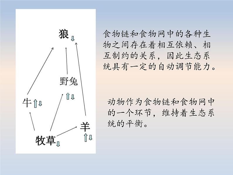 7.3动物在生物圈中的作用---2023-2024学年鲁科版（五四学制）生物学八年级上册课件04