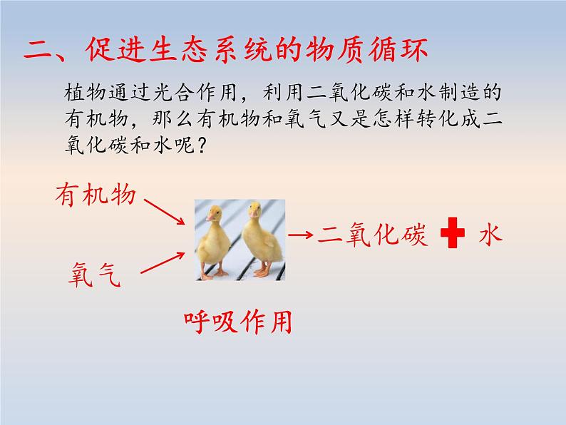 7.3动物在生物圈中的作用---2023-2024学年鲁科版（五四学制）生物学八年级上册课件06