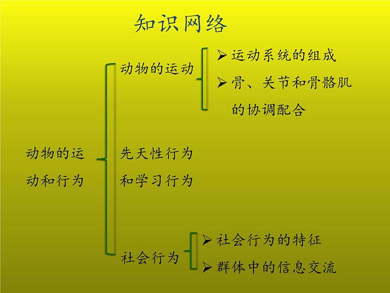 7.2动物的运动和行为复习课件---2023-2024学年鲁科版（五四学制）生物学八年级上册课件第2页