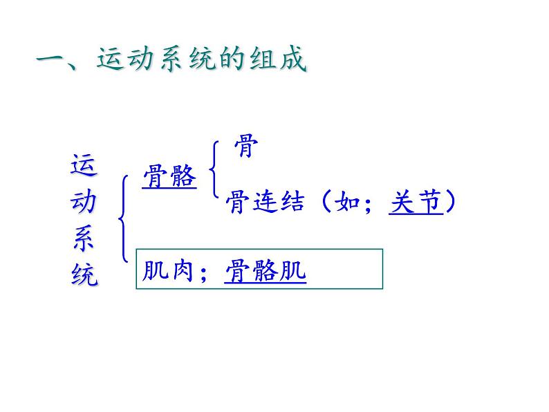 7.2动物的运动和行为复习课件---2023-2024学年鲁科版（五四学制）生物学八年级上册课件第4页