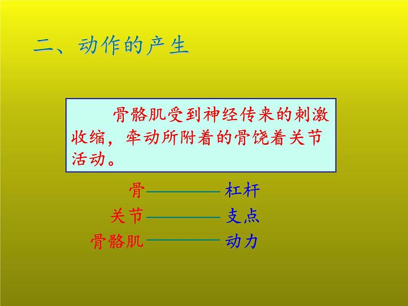 7.2动物的运动和行为复习课件---2023-2024学年鲁科版（五四学制）生物学八年级上册课件第5页