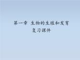 第一章生物的生殖和发育复习---2023-2024学年鲁科版（五四学制）生物学八年级下册课件