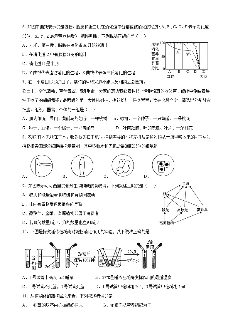 江苏省南通市新桥中学2022-2023学年七年级上学期期末模拟生物试卷02