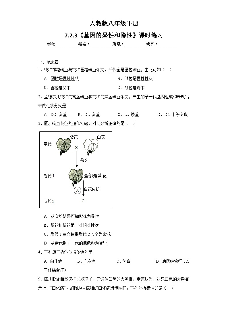 【核心素养】人教版八年级下册7.2.3《基因显性和隐性》课件＋课时练习＋教案（含教学反思）01