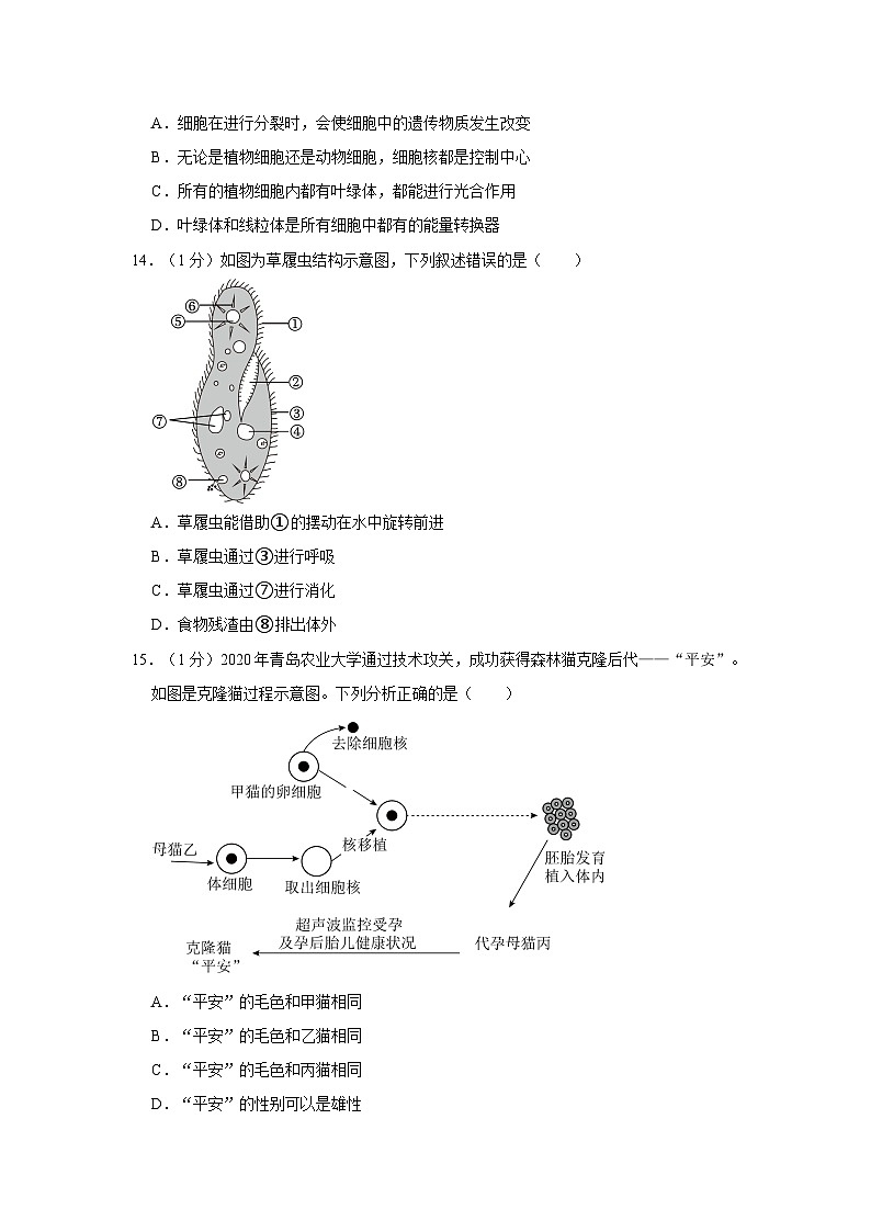 山东省青岛市即墨区2023-2024学年七年级上学期期中生物试卷03