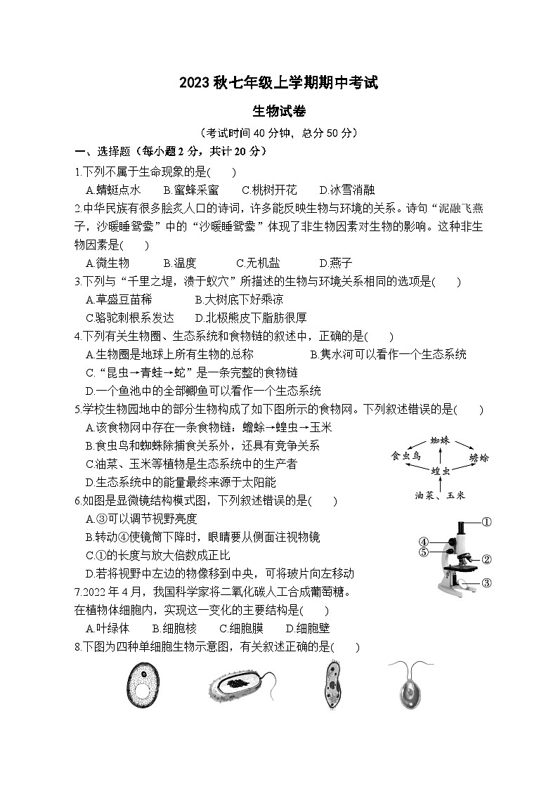 湖北省咸宁市崇阳县大集中学2023-2024学年七年级上学期期中考试生物试题01